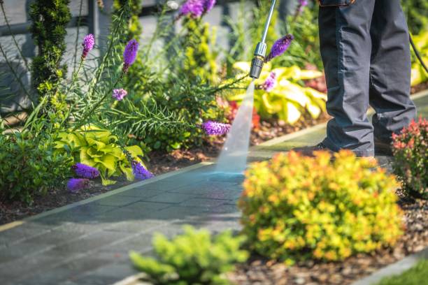 Professional Pressure Washing in South Monrovia Island, CA