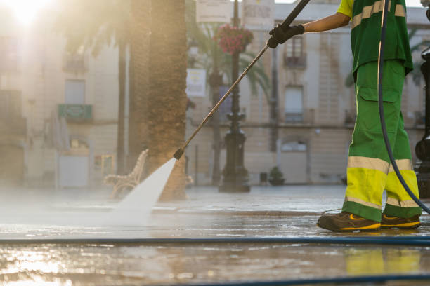 Spring Cleaning in South Monrovia Island, CA